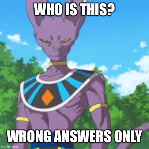 Poo | WHO IS THIS? WRONG ANSWERS ONLY | image tagged in lord beerus | made w/ Imgflip meme maker