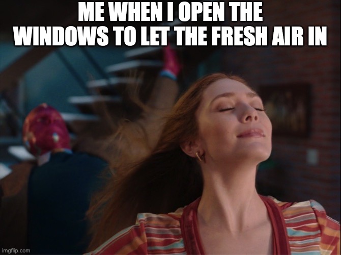 the window | ME WHEN I OPEN THE WINDOWS TO LET THE FRESH AIR IN | image tagged in wandavision | made w/ Imgflip meme maker