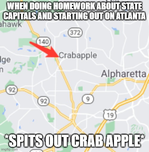 Crabapple | WHEN DOING HOMEWORK ABOUT STATE CAPITALS AND STARTING OUT ON ATLANTA; *SPITS OUT CRAB APPLE* | image tagged in google maps | made w/ Imgflip meme maker