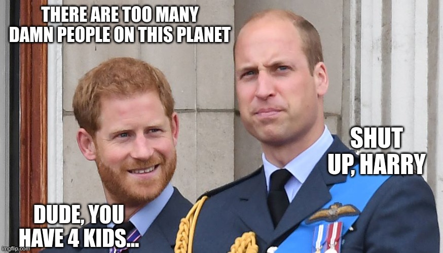 Royal Decree | THERE ARE TOO MANY DAMN PEOPLE ON THIS PLANET; SHUT UP, HARRY; DUDE, YOU HAVE 4 KIDS... | image tagged in harry and william,eugenics for dummies,two rules | made w/ Imgflip meme maker