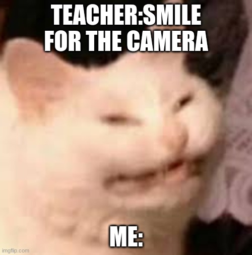 .... | TEACHER:SMILE FOR THE CAMERA; ME: | image tagged in funny cat | made w/ Imgflip meme maker