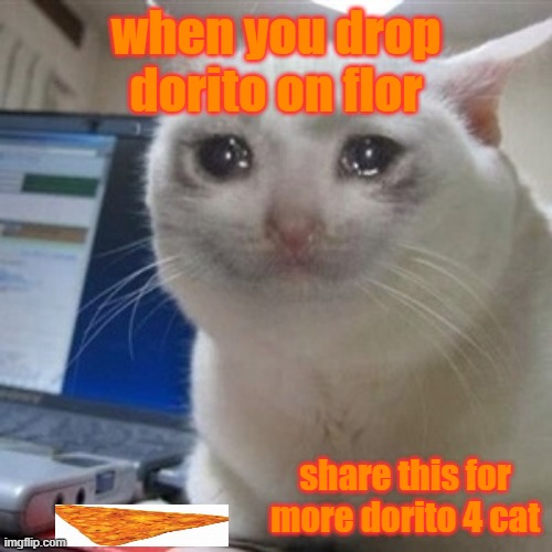 dorito go commit on the floor | when you drop dorito on flor; share this for more dorito 4 cat | image tagged in sad,doritos,sad cat,like and share | made w/ Imgflip meme maker