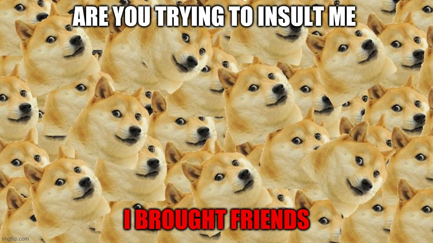 #dogebuddys | ARE YOU TRYING TO INSULT ME; I BROUGHT FRIENDS | image tagged in doge,buddy | made w/ Imgflip meme maker