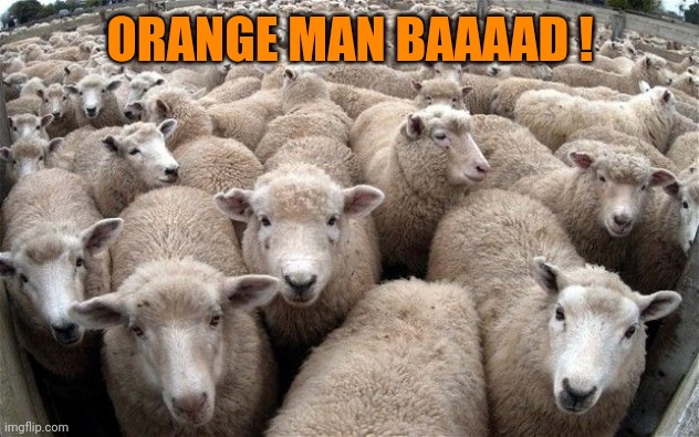 sheeple | ORANGE MAN BAAAAD ! | image tagged in sheeple | made w/ Imgflip meme maker