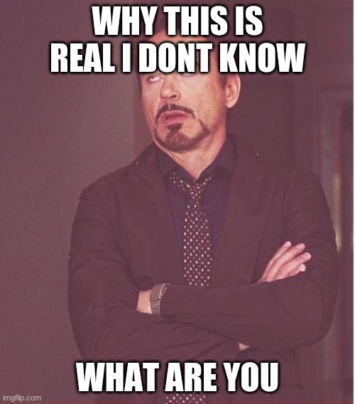 Face You Make Robert Downey Jr Meme | WHY THIS IS REAL I DONT KNOW; WHAT ARE YOU | image tagged in memes,why | made w/ Imgflip meme maker