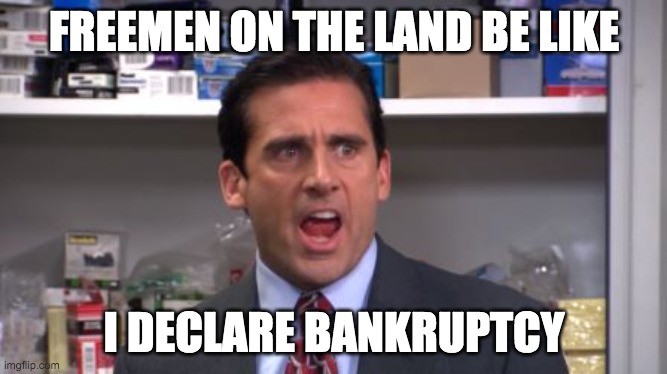 Freemen on the land be like | FREEMEN ON THE LAND BE LIKE; I DECLARE BANKRUPTCY | image tagged in the office bankruptcy | made w/ Imgflip meme maker