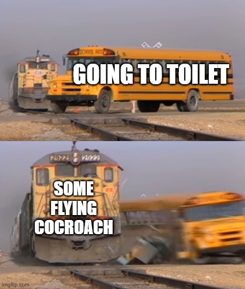I need some Flamethrower | GOING TO TOILET; SOME FLYING COCROACH | image tagged in a train hitting a school bus | made w/ Imgflip meme maker