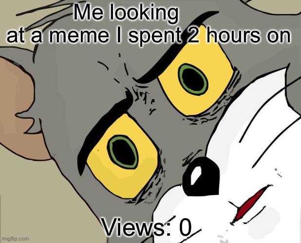 No views | Me looking at a meme I spent 2 hours on; Views: 0 | image tagged in memes,unsettled tom,wow look nothing | made w/ Imgflip meme maker