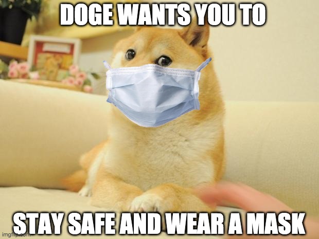please |  DOGE WANTS YOU TO; STAY SAFE AND WEAR A MASK | image tagged in memes,doge 2 | made w/ Imgflip meme maker