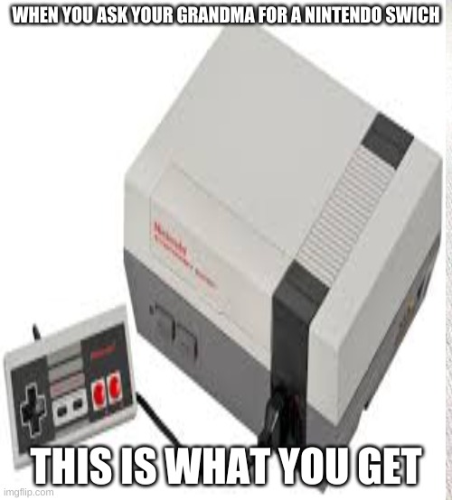too many old ppl | WHEN YOU ASK YOUR GRANDMA FOR A NINTENDO SWICH; THIS IS WHAT YOU GET | image tagged in old | made w/ Imgflip meme maker