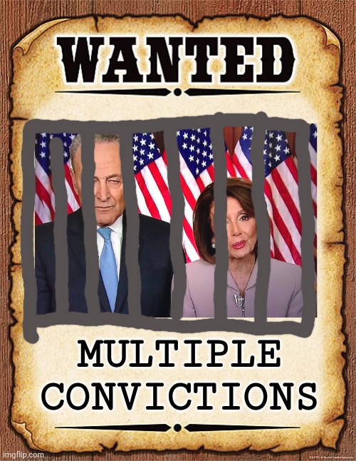 wanted poster | MULTIPLE
CONVICTIONS | image tagged in wanted poster | made w/ Imgflip meme maker