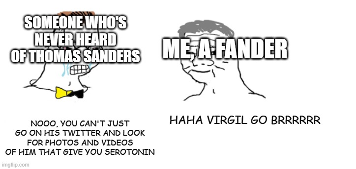 Only Fanders will understand this | SOMEONE WHO'S NEVER HEARD OF THOMAS SANDERS; ME, A FANDER; HAHA VIRGIL GO BRRRRRR; NOOO, YOU CAN'T JUST GO ON HIS TWITTER AND LOOK FOR PHOTOS AND VIDEOS OF HIM THAT GIVE YOU SEROTONIN | image tagged in nooo haha go brrr | made w/ Imgflip meme maker