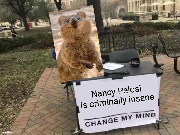 Change My Mind Meme | Nancy Pelosi is criminally insane | image tagged in memes,change my mind | made w/ Imgflip meme maker