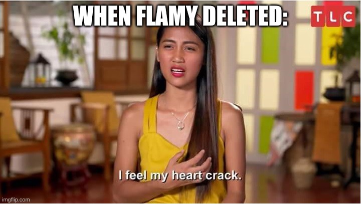 yes my dark heart cracked | WHEN FLAMY DELETED: | image tagged in i feel my heart crack | made w/ Imgflip meme maker