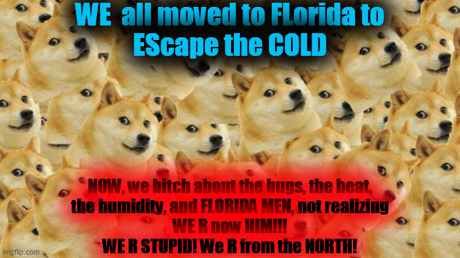 Multi Doge Meme | WE  all moved to FLorida to
EScape the COLD NOW, we bitch about the bugs, the heat,
the humidity, and FLORIDA MEN, not realizing
WE R now HI | image tagged in memes,multi doge | made w/ Imgflip meme maker