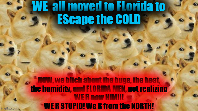 Cold in florida - Imgflip