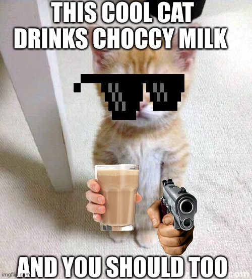 Cute Cat |  THIS COOL CAT DRINKS CHOCCY MILK; AND YOU SHOULD TOO | image tagged in memes,cute cat | made w/ Imgflip meme maker