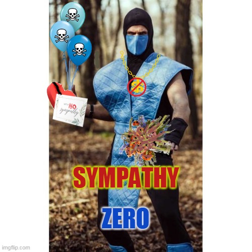 Sympathy ZERO | SYMPATHY; ZERO | image tagged in sub zero,no sympathy | made w/ Imgflip meme maker