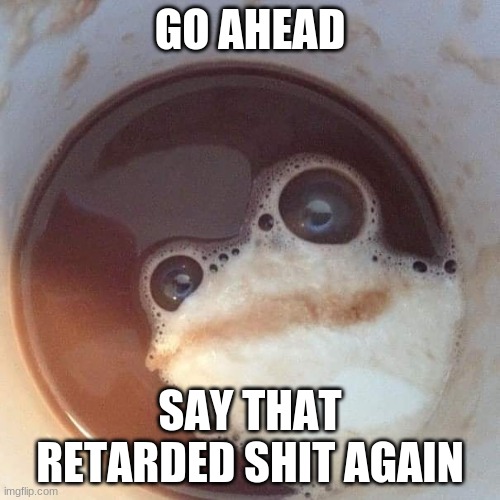 Yeet | GO AHEAD; SAY THAT RETARDED SHIT AGAIN | image tagged in coffee frog,memes,funny,reaction,new template,coffee | made w/ Imgflip meme maker