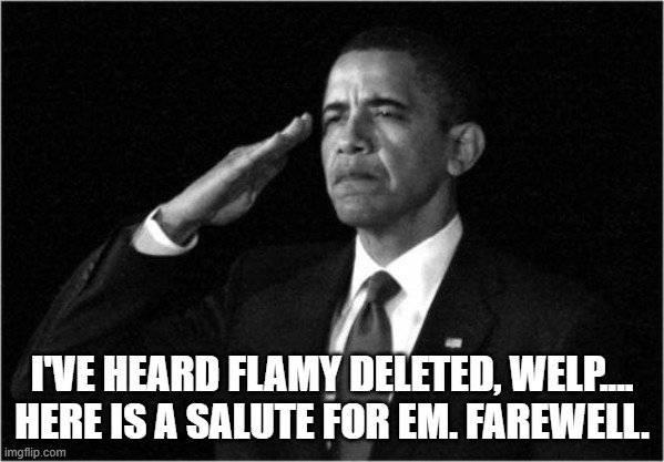 obama-salute | I'VE HEARD FLAMY DELETED, WELP.... HERE IS A SALUTE FOR EM. FAREWELL. | image tagged in obama-salute | made w/ Imgflip meme maker