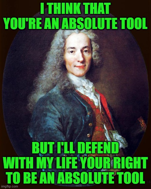 voltaire | I THINK THAT YOU'RE AN ABSOLUTE TOOL BUT I'LL DEFEND WITH MY LIFE YOUR RIGHT TO BE AN ABSOLUTE TOOL | image tagged in voltaire | made w/ Imgflip meme maker