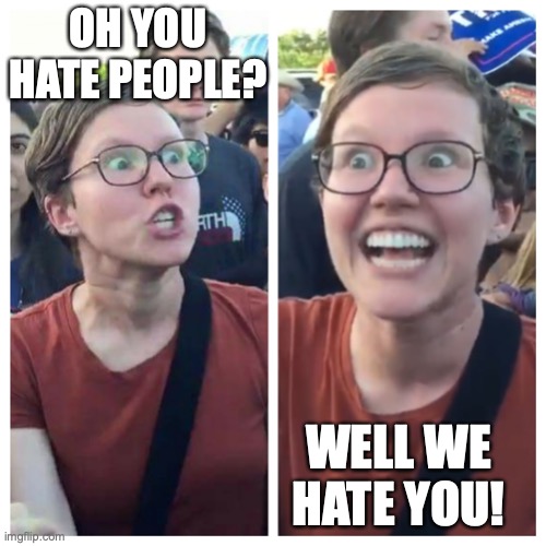 Hypocrite liberal | OH YOU HATE PEOPLE? WELL WE HATE YOU! | image tagged in hypocrite liberal | made w/ Imgflip meme maker