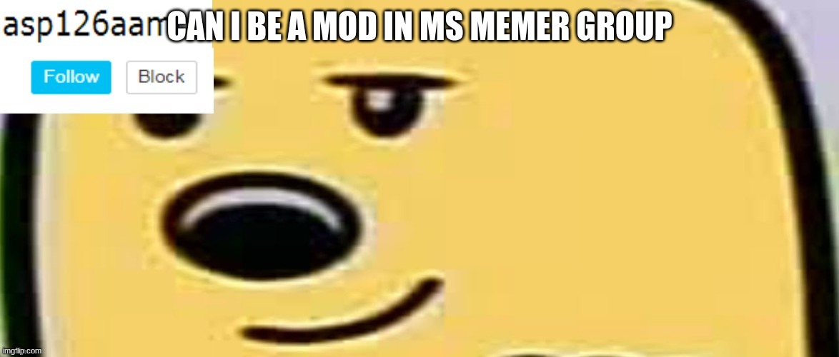 CAN I BE A MOD IN MS MEMER GROUP | made w/ Imgflip meme maker