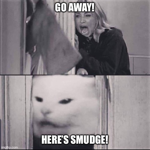 woman yells are shining | GO AWAY! HERE’S SMUDGE! | image tagged in woman yells are shining | made w/ Imgflip meme maker