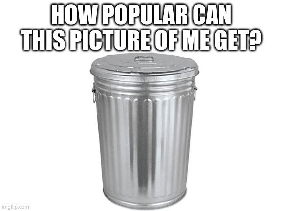 heh | HOW POPULAR CAN THIS PICTURE OF ME GET? | image tagged in blank white template | made w/ Imgflip meme maker