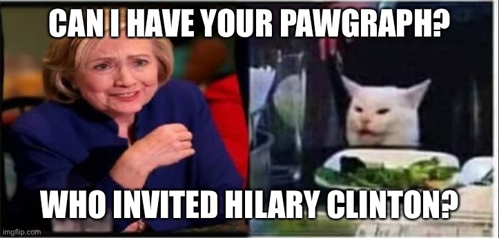 Hillary and Smudge | CAN I HAVE YOUR PAWGRAPH? WHO INVITED HILARY CLINTON? | image tagged in hillary and smudge | made w/ Imgflip meme maker