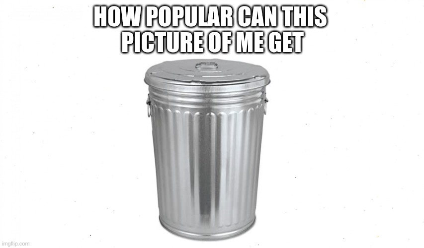 heh | HOW POPULAR CAN THIS 
PICTURE OF ME GET | image tagged in blank | made w/ Imgflip meme maker
