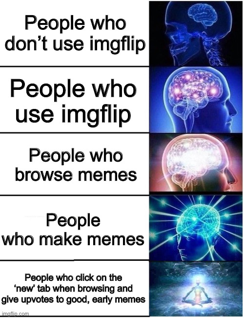 Expanding Brain 5 Panel |  People who don’t use imgflip; People who use imgflip; People who browse memes; People who make memes; People who click on the ‘new’ tab when browsing and give upvotes to good, early memes | image tagged in expanding brain 5 panel | made w/ Imgflip meme maker