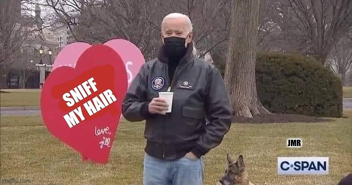 Hahaha | SNIFF MY HAIR; JMR | image tagged in biden valentine,white house,valentine's day | made w/ Imgflip meme maker