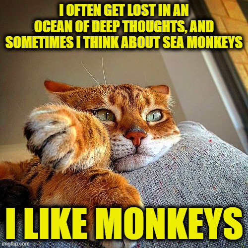 I OFTEN GET LOST IN AN OCEAN OF DEEP THOUGHTS, AND SOMETIMES I THINK ABOUT SEA MONKEYS; I LIKE MONKEYS | image tagged in deep thought tom cat | made w/ Imgflip meme maker