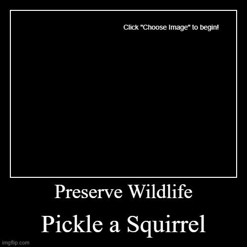 squirrel-01.jpg | image tagged in funny,demotivationals | made w/ Imgflip demotivational maker