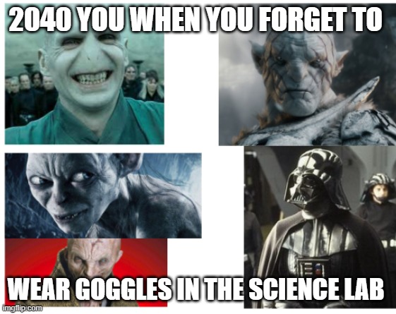 science lab be like | 2040 YOU WHEN YOU FORGET TO; WEAR GOGGLES IN THE SCIENCE LAB | image tagged in lotr | made w/ Imgflip meme maker
