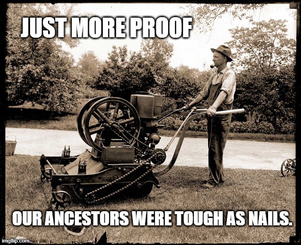 Our ancestors were tough as nails | JUST MORE PROOF; OUR ANCESTORS WERE TOUGH AS NAILS. | image tagged in ancestry,tough,strong,grandad,lawnmower | made w/ Imgflip meme maker