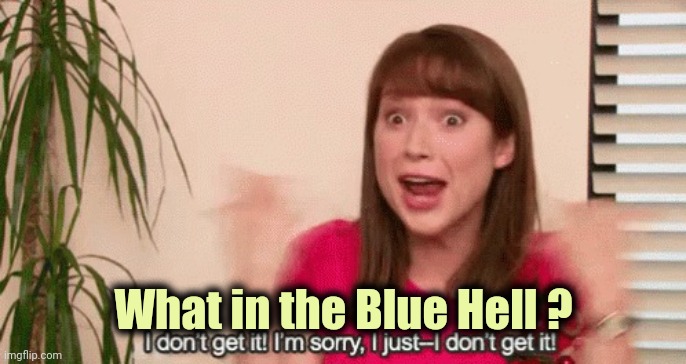 Erin "I don't get it" The Office | What in the Blue Hell ? | image tagged in erin i don't get it the office | made w/ Imgflip meme maker