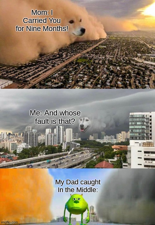 he's caught in there goooood. | Mom: I Carried You for Nine Months! Me: And whose fault is that? My Dad caught In the Middle: | image tagged in dust doge storms and mikey caught in the middle,funny,memes | made w/ Imgflip meme maker