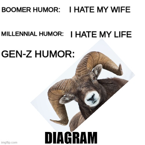 Diag Ram | DIAGRAM | image tagged in boomer humor millennial humor gen-z humor,memes,fun,gen z,humor | made w/ Imgflip meme maker