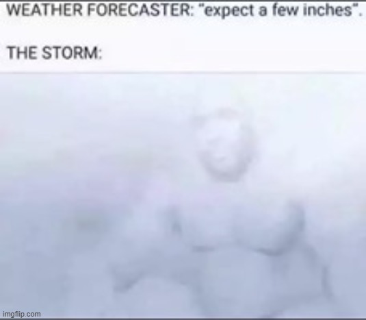 Expecting only a few inches!  THE STORM!!!!! | image tagged in cold weather | made w/ Imgflip meme maker