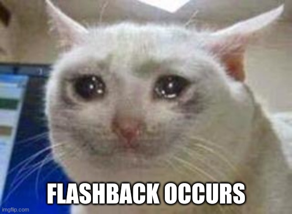 Sad cat | FLASHBACK OCCURS | image tagged in sad cat | made w/ Imgflip meme maker