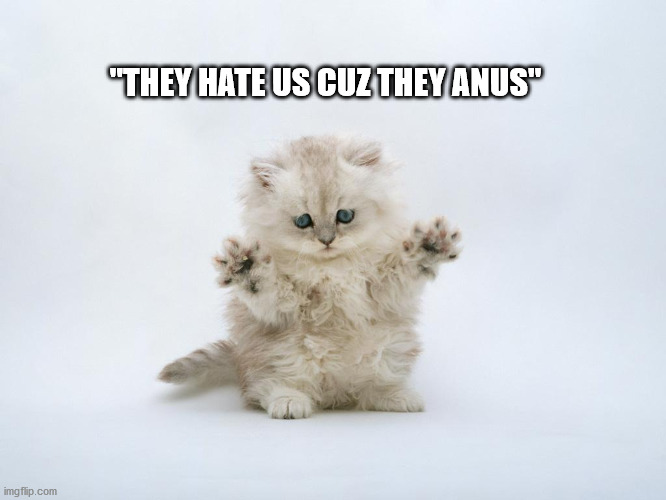 Mind Control Confessions | "THEY HATE US CUZ THEY ANUS" | image tagged in mind control kitten | made w/ Imgflip meme maker