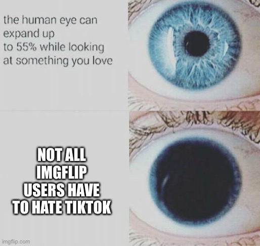 Eye pupil expand | NOT ALL IMGFLIP USERS HAVE TO HATE TIKTOK | image tagged in eye pupil expand,imgflip,tiktok,oh wow are you actually reading these tags | made w/ Imgflip meme maker