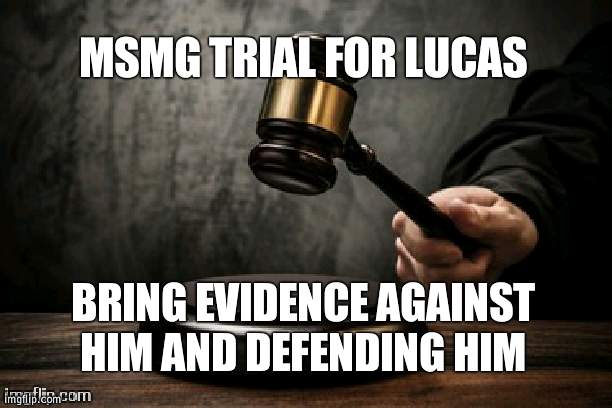 Then owners vote | MSMG TRIAL FOR LUCAS; BRING EVIDENCE AGAINST HIM AND DEFENDING HIM | image tagged in court,vote,owner | made w/ Imgflip meme maker