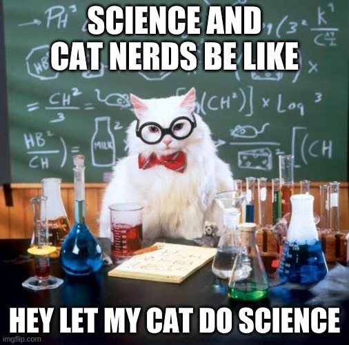 Chemistry Cat Meme | SCIENCE AND CAT NERDS BE LIKE; HEY LET MY CAT DO SCIENCE | image tagged in memes,chemistry cat | made w/ Imgflip meme maker