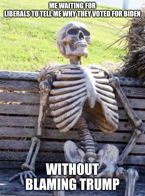 Bden voter= Trump hater | ME WAITING FOR LIBERALS TO TELL ME WHY THEY VOTED FOR BIDEN; WITHOUT BLAMING TRUMP | image tagged in memes,waiting skeleton | made w/ Imgflip meme maker