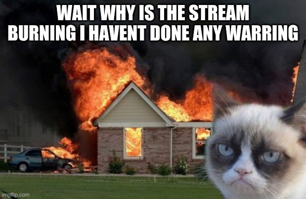 Burn Kitty | WAIT WHY IS THE STREAM BURNING I HAVENT DONE ANY WARRING | image tagged in memes,burn kitty,grumpy cat | made w/ Imgflip meme maker