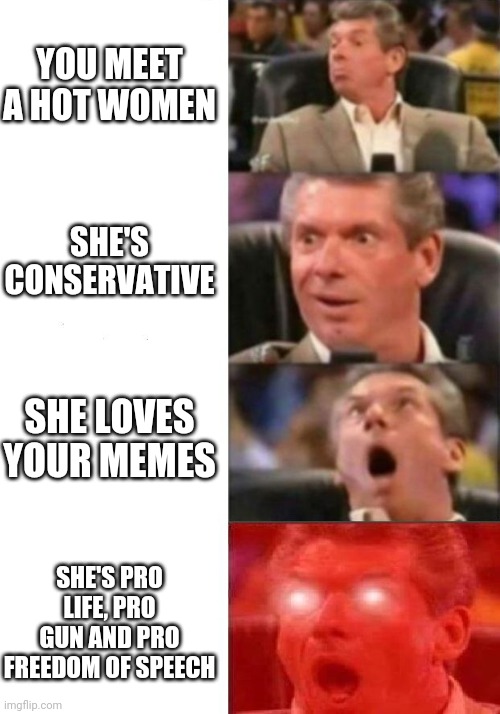Perfection | YOU MEET A HOT WOMEN; SHE'S CONSERVATIVE; SHE LOVES YOUR MEMES; SHE'S PRO LIFE, PRO GUN AND PRO FREEDOM OF SPEECH | image tagged in mr mcmahon reaction | made w/ Imgflip meme maker