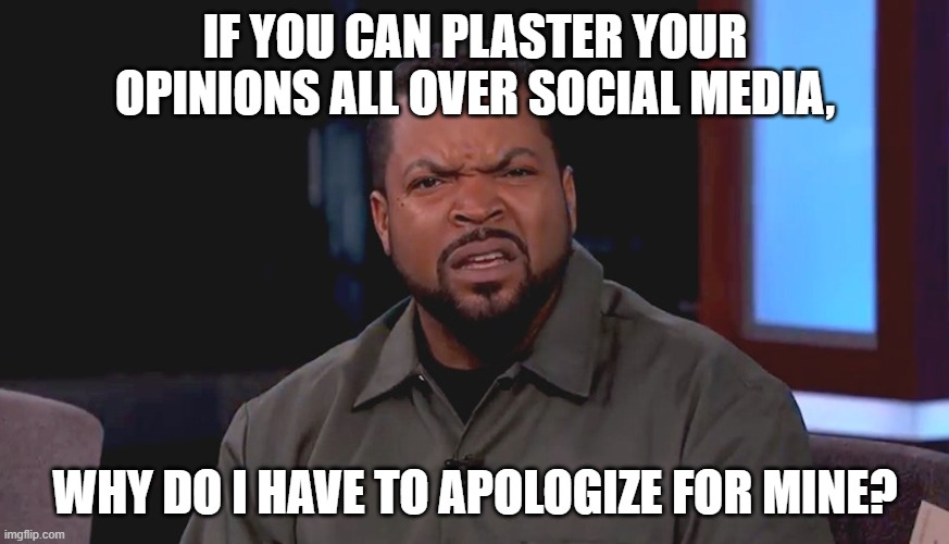The frick?? | IF YOU CAN PLASTER YOUR OPINIONS ALL OVER SOCIAL MEDIA, WHY DO I HAVE TO APOLOGIZE FOR MINE? | image tagged in really ice cube | made w/ Imgflip meme maker